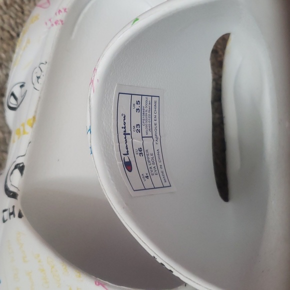 Champion slides - Picture 8 of 12